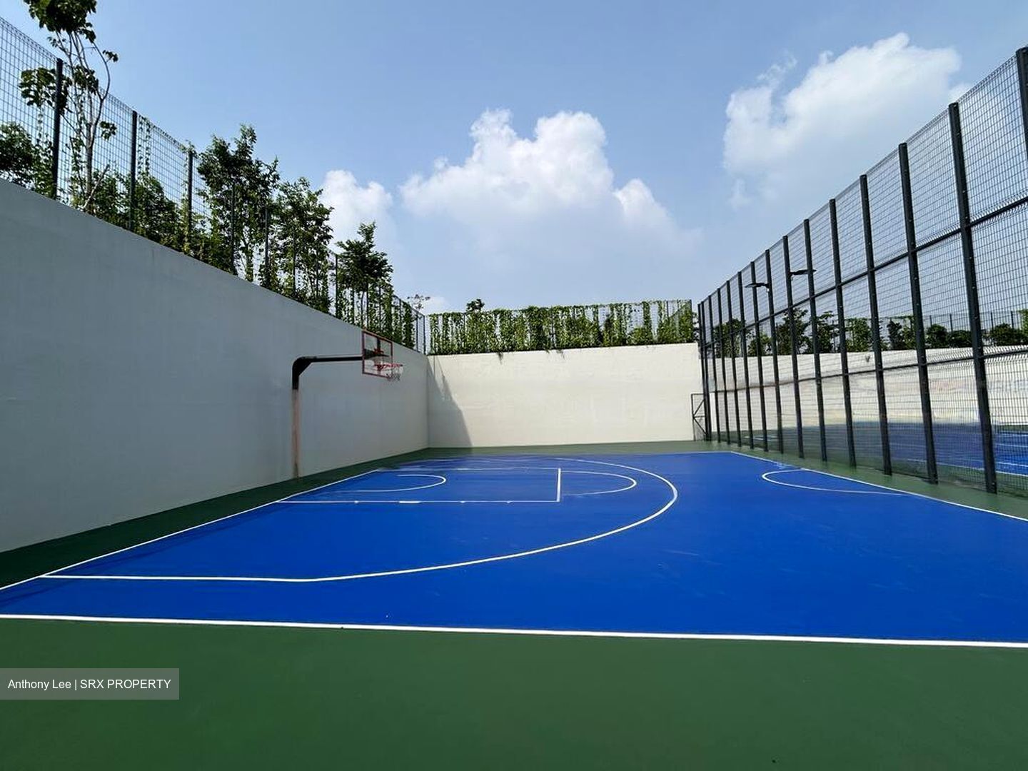 Normanton Park (D5), Apartment #603459291